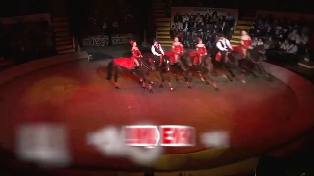 цирк Арена Молодых смотреть онлайн