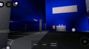 petal_20250502_100004.mp4