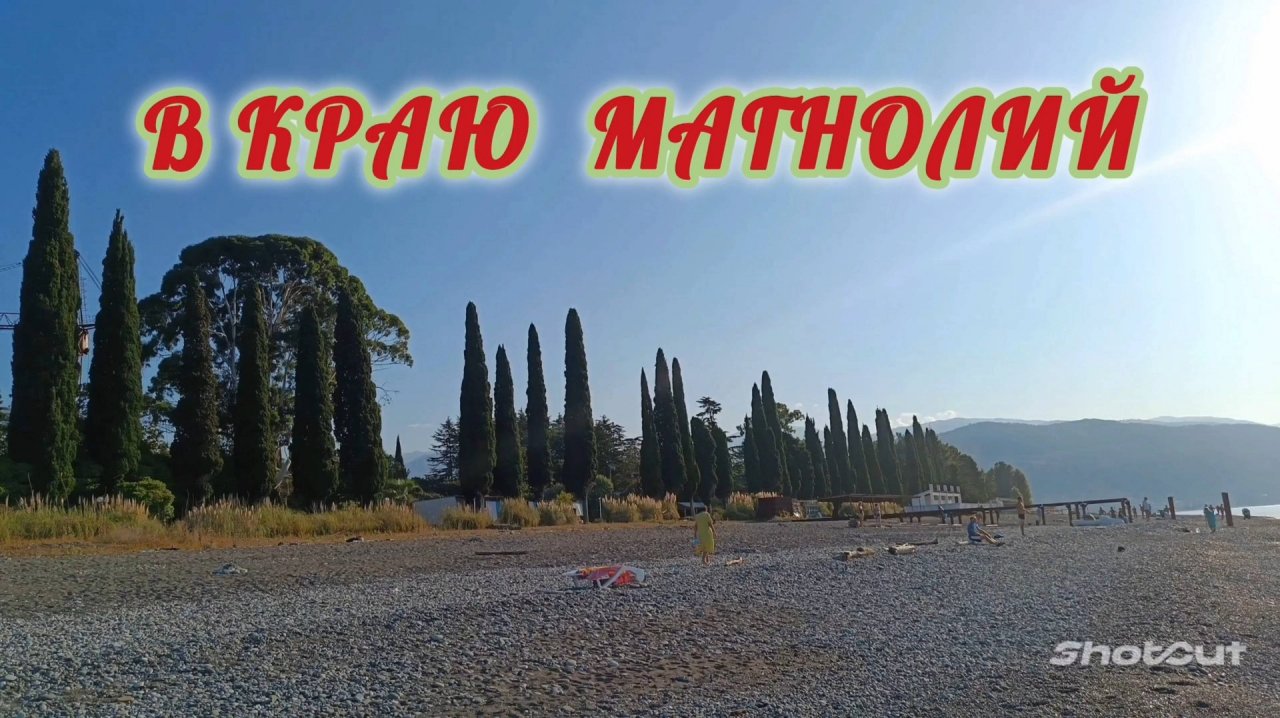 В КРАЮ МАГНОЛИЙ И ЭВКАЛИПТОВ.