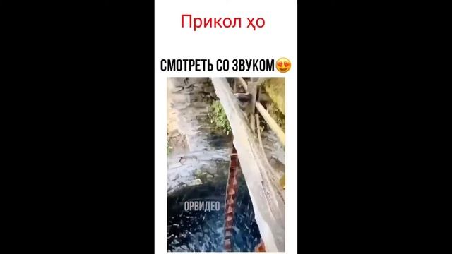 Самые лучшие работы смотреть онлайн