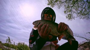 Открытие  сезона 2025 по белому хищнику