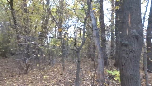 Октябрь в Волго Ахтубинской пойме смотреть онлайн