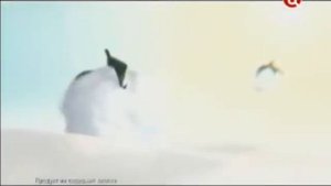 Рекламные блоки и анонсы (ТВ Центр, 06.02.2013)