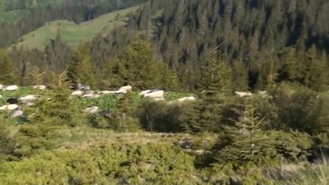 Гора Петрос. Mount Petros (2020 м.)