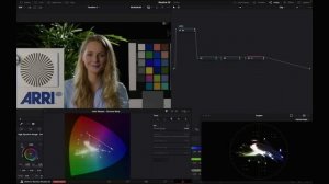 [Chroma Warp] - работа с инструментом в Davinci Resolve 20