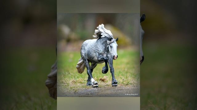 Картинки лошадок брейер.
