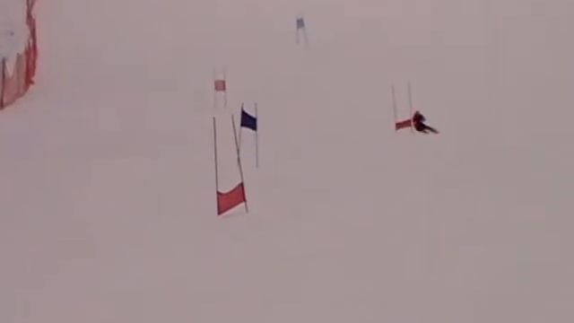 Школа горнолыжного спорта Л.Тягачева 12/2009г.