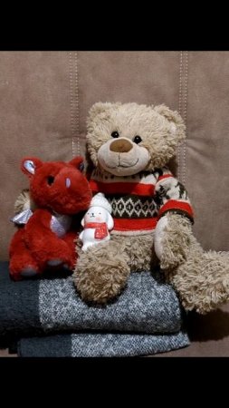 заметки о жизни плюшевых игрушек