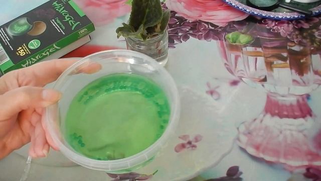 Мои новые фиалки. Эксперимент: размножение фиалок в гидрогеле! И еще новые жильцы.