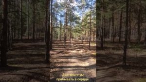 Заставьте ум прибывать в сердце Роберт Адамс