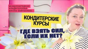 ⁉Где взять силы, когда их уже нет?Но страх жизни под мостом дал мне силы двигаться дальше 🔥