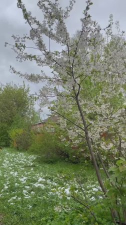 Полувсё: полувесна, полузима, полубиркен, полуЯ. 🙂