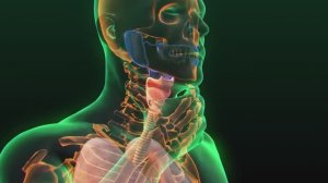 Это убивает вашу щитовидку. Не допускайте эти ошибки…