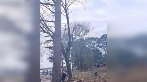Через Секунду их не Станет! Моменты Снятые на Камеру За Секунду До Катастрофы