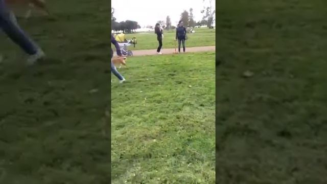 Парк 300 летия. Встреча сиб смотреть онлайн