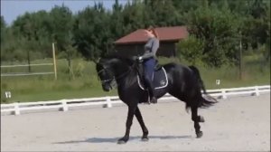 Знакомьтесь, это - "Конный мир"