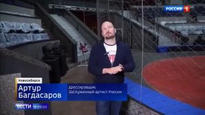 Цирк закрыт: львица на арене устроила охоту на ребенка