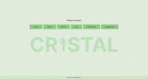 CRistal программа сборки и регулировки дизельных форсунок Common Rail