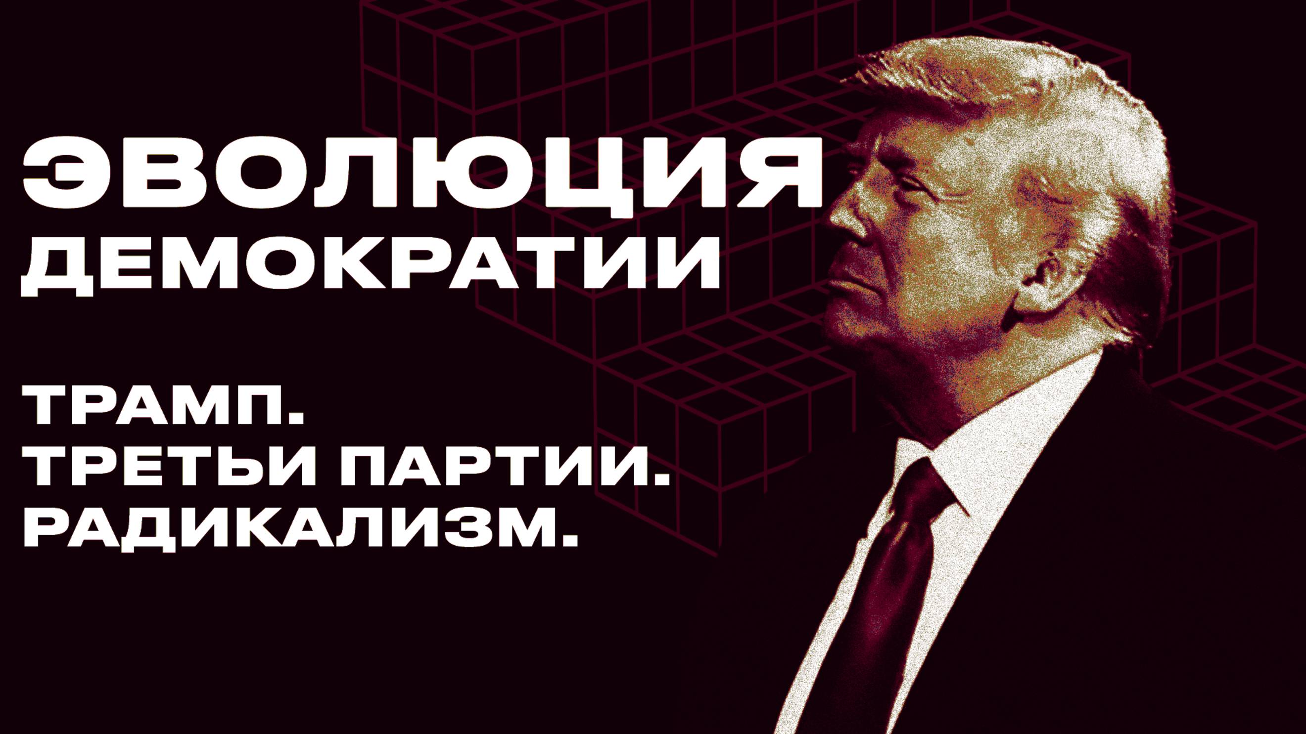 В чём особенности американской демократии?