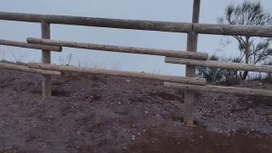 На Везувий и по Неаполю с шутками и прибаутками.