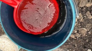 1 горсть в лунку перцы, томаты, огурцы сразу заплодоносят и завалят урожаем
