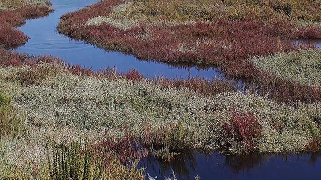 Сардиния - пресноводные биотопы\Freshwater biotops of Sardinia смотреть онлайн