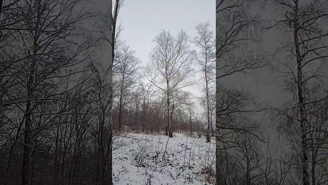 Сегодня ночью выпал снег. Музыка для релаксации и восстановления нервной системы смотреть онлайн