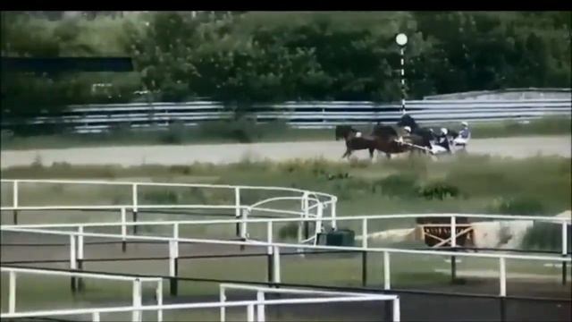 Тюменский ипподром. Беговой день 23.06.19г.