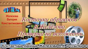 Косточки абрикосов В.Железова. Проверка на всхожесть.
