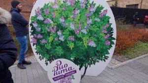 Арт-проект .Рио -Рита в Красноярске .Праздник Победы