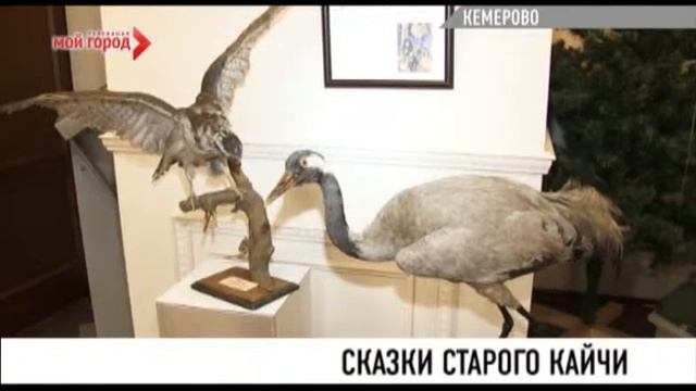 1001 сказка от старого кайчи смотреть онлайн