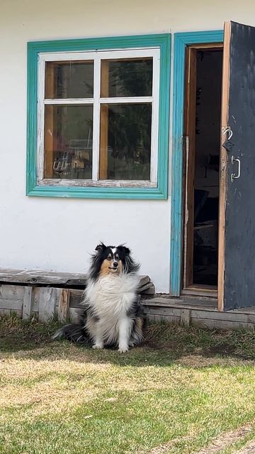 Кайфует!😍
