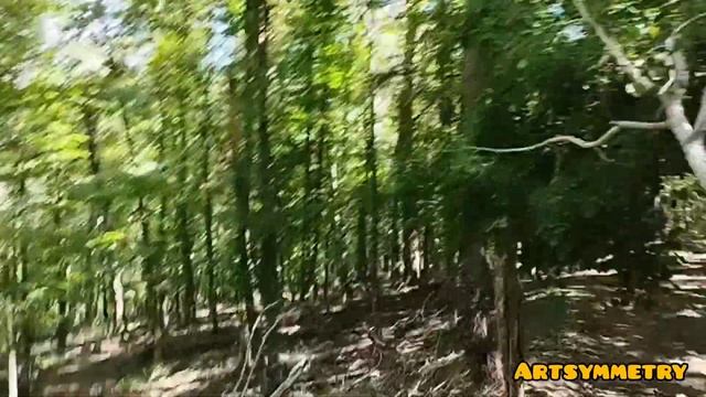 Самые Высокие  Горы Крыма.Лесоповал последствия Урагана .Часть 2