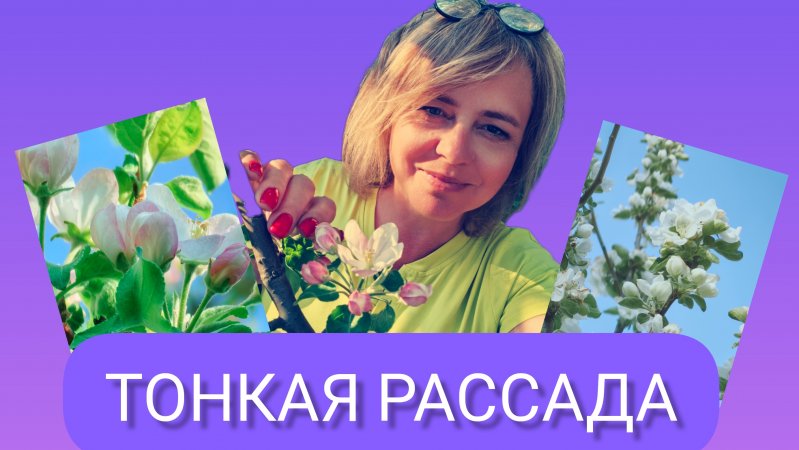 Тонкая РАССАДА не всегда плохо.Это по сорту
