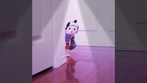 Одежда для кошки 😍😍😍