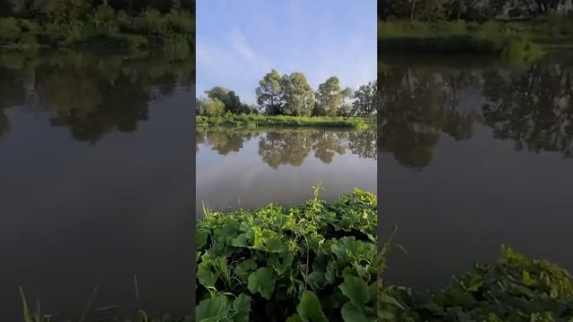 Россмагнит F-400 из wilbiress смотреть онлайн