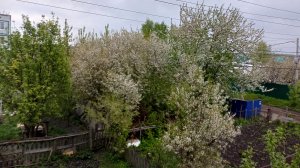 любимый деревенский вид из окна, жизнь в деревне, счастье и уют в деревне