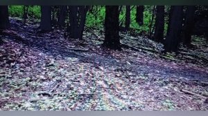 Кто и зачем приходит в нашу жизнь?Неожиданные уроки .