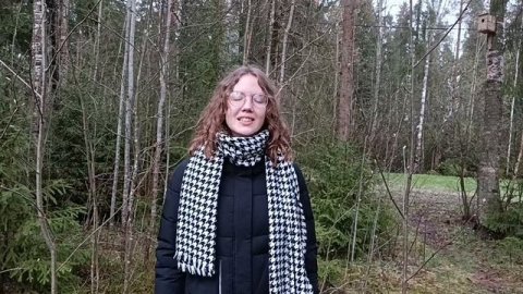 Творческое объявление «НОВОРОССИЯ»