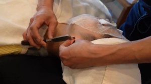 Japanesse Barber  |  asmr