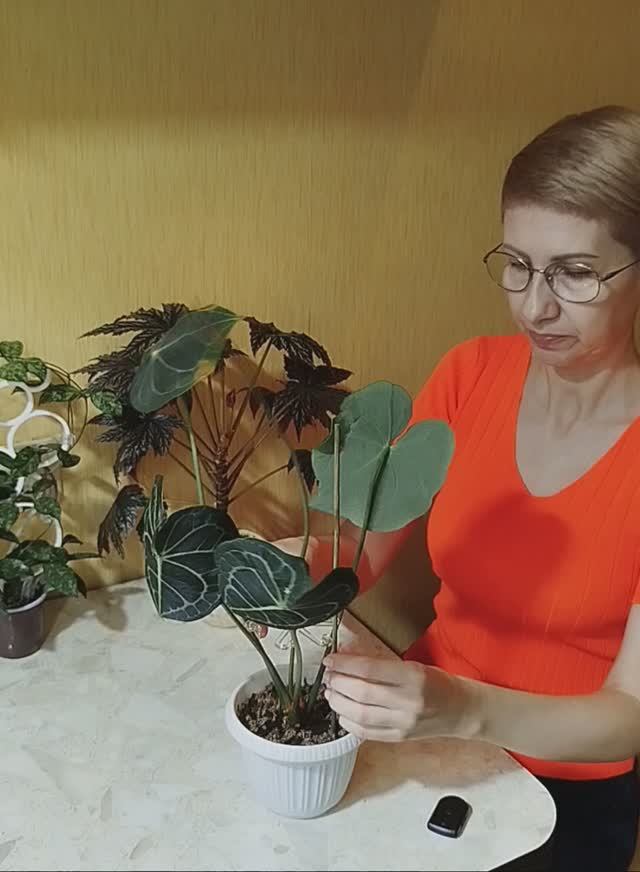 1000004033.mp4