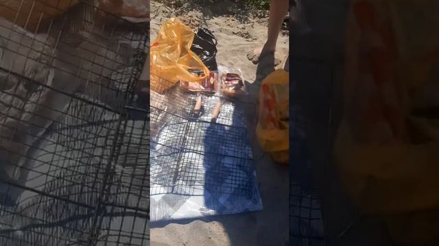 коктобе. часть 2 смотреть онлайн