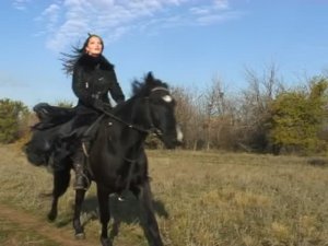 Конь мой родной!