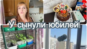 Первый юбилей сына. В восторге от робота мойщика окон. Посадила цветы.