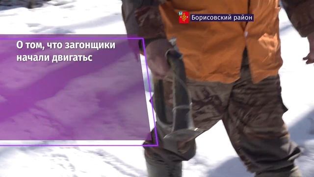В заповеднике «Белогорье» стартовала перепись диких копытных смотреть онлайн