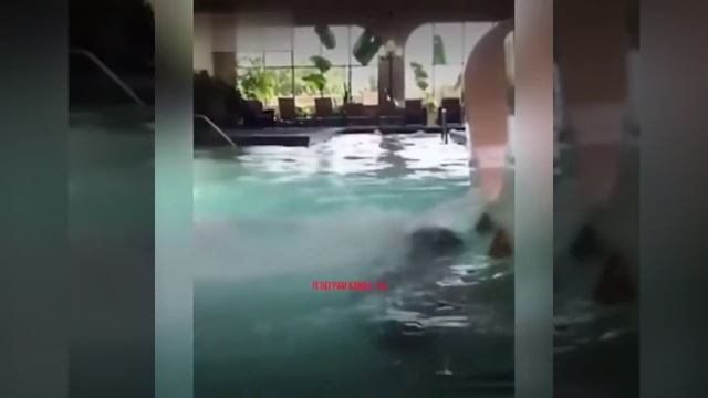 Свежие приколы видео (умер от смеха) смотреть онлайн