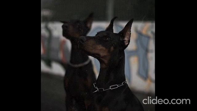 KVPV - Inex (Музыка в машину)