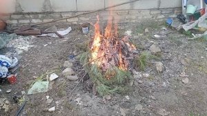 Уборка, уборка, уборка. На даче появились дрова. СЕМЬЯ НА ДАЧЕ #238.