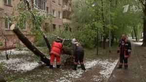 В Москве из-за заморозков объявлен оранжевый уровень погодной опасности