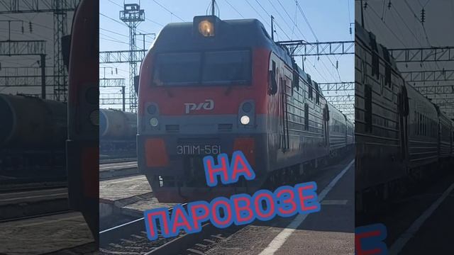 Едем на выставку! #секретдядивани #экспоцентр #экспоцентрмосква #макуха #карп #карповаяловля